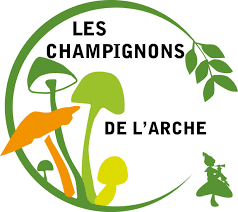 Maraichers A Chalon Sur Saone 71100 Legumes En Vente Directe Producteur