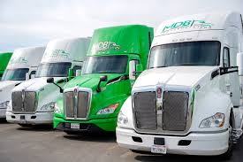 Image result for Green 2021 Fleet
