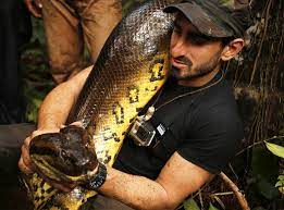 Anaconda Man Interview What It S Actually Like To Nearly Get Eaten By A Snake The Independent The Independent