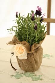 Welche hochzeitsblume liegt im trend? Lavender Hochzeit Deko Holzerne Hochzeit Lavendel Im Topf