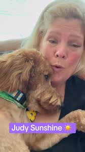 C.C’s Adorable Doodles