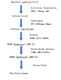 Separation And Purification Of Cellulase Lc 9 Flow Chart 2 2
