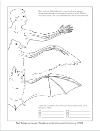 Sarah malmquist and kristina prescott. Stay In The Lines With These Neat Science Coloring Pages