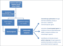 It also tends to be more aggressive, so the prognosis for this subtype is often worse than others. Neoadjuvant Therapy For Patients With Triple Negative Breast Cancer Tnbc Bentham Science