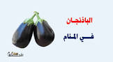 في الاحلام