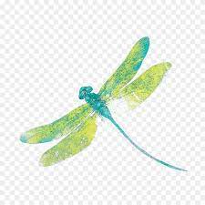 850x850 Dragonfly Png Free Download Dragonfly Png Clipart Free Printables Dragonfly Clipart Free Clip Art
