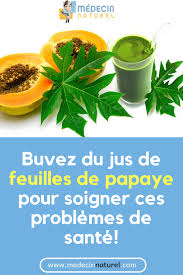 Buvez Du Jus De Feuilles De Papaye Pour Soigner Ces Problemes De Sante Papaye Remede Naturel Sante Maladie Herbs Fruit Parsley