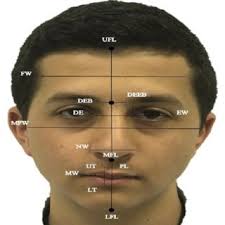 This is the traditional bridge piercing style and its quite popular since the beads of the barbell are right in line with the eyes, giving it a gorgeous, balanced look. Eye Width Ew Distance Between Eyes De Distance Between Eyebrow Download Scientific Diagram