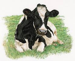 We did not find results for: Fresian Cow In A Meadow Cross Stitch Kit By Thea Gouverneur