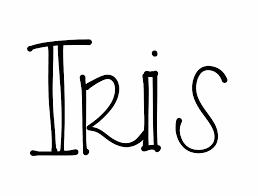 Een baby body met een ronde hals en korte mouwen. Baby Girl S Name Iris Meaning Rainbow By Meg At Pinterest Com Meggiemaye Naam Handlettering Zwanger