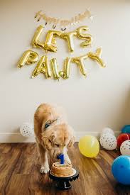Dog Birthday In 2020 Hund Geburtstag Geburtstagskuchen Fur Hunde Geburtstagstiere