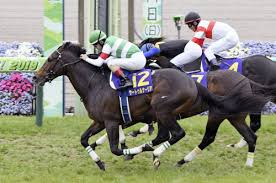 The site owner hides the web page description. ã‚µãƒ¼ãƒˆã‚¥ãƒ«ãƒŠãƒ¼ãƒªã‚¢ãŒå„ªå‹ ç«¶é¦¬ã®çšæœˆè³ž æ—¥æœ¬çµŒæ¸ˆæ–°èž