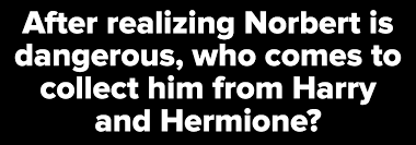 Jan 19, 2021 · this harry potter and the sorcerer's stone quiz is super easy, but i bet you still won't pass it. Quiz Harry Potter And The Sorcerer S Stone Book Trivia Quiz