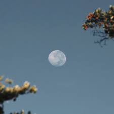 Cette pleine lune est intense, vous devez déjà en ressentir les effets hein ? Calendrier Lunaire 2020 Pour Savoir Comment Est La Lune En Ce Moment Et Travailler Avec Ses Energies Femme Actuelle Le Mag