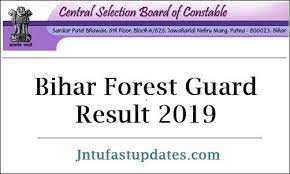 Check csbc forest guard result 2021 bihar forest guard cut off marks and selection merit list. Bihar Forest Guard Result 2019 Released Csbc Bihar Vanrakshak Cutoff Marks Merit List Csbc Bih Nic In