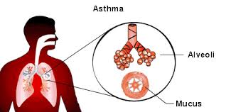 تصویر مرتبط