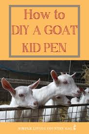 How To Set Up A Diy Goat Kid Pen On Your Homestead Goats Goat Kidding Baby Goats