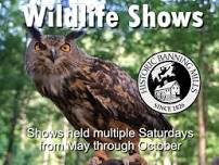 Wildlife Shows