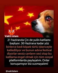 Cin Cindevletbaskani Cinhalki Cinliler Sicinping Instagram Animal Cats Dog Pleas Anime Stop Instagram Kedi Cin
