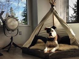 Hundebett Selber Bauen 13 Gemutliche Ideen Fur Ihren Vierbeiner Heimwerkertricks Net Hunde Bett Hundebett Selber Bauen Hund Zelt