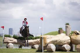 None of them are gold almost entirely. Horses And Courses Behind The Scenes With The Tokyo Olympics Course Designers Eventing Nation Three Day Eventing News Results Videos And Commentary
