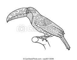 By best coloring pagesseptember 20th 2019. Toucan Coloring Book For Adults Vector Toucan Bird Coloring Book For Adults Vector Illustration Anti Stress Coloring For Canstock