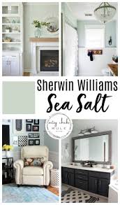 Sherwin Williams Sea Salt Gorgeous Coastal Neutral Artsy Chicks Rule Sea Salt Sherwin Williams Home Paint Colors For Home