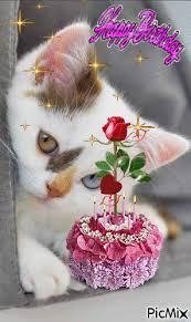 Cats and flowers birthday images. Happy Birthday Picmix