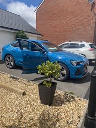 Image result for Cobalt Blue 1969 Audi