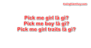 I like legos, you like legos, why don't we build a relationship? Pick Me Girl La Gi Pick Me Boy La Gi Pick Me Girl Traits La Gi