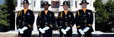 Image result for what do agents do at attorney general's office