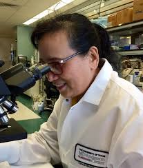 Helen Piwnica-Worms Lab Members