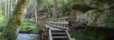 I heard lot about this. Tourism In Mullerthal Luxembourg Europe S Best Destinations