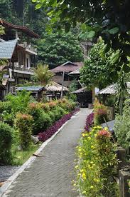 Ofertas de hoteles en bukit lawang: The Dream Like Village Of Bukit Lawang Sumatra Indonesia So Off We Go Indonesia Sumatra Bali