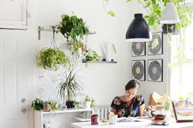 If your dining room's windows face east or west, you can grow plants that thrive in bright, indirect light. 8 Kitchen Plants Best Houseplants That Thrive In Kitchens Kitchn