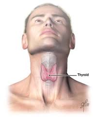 National institute of neurological disorders and stroke ; Hyperthyroidism Symptoms Causes Treatment Medication