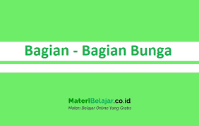 Secara morfologi, kelopak bunga merupakan modifikasi dari daun. 10 Bagian Bagian Bunga Dan Fungsinya Lengkap