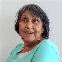 Sandra Lee Carey Obituary