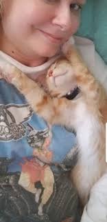 Meet Pistachio. 🐱✌💜