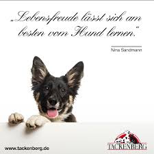 Lebensfreude Lasst Sich Am Besten Vom Hund Lernen Nina Sandmann Sandmann Zitat Hund Quote Dog Behavior Training Dog Behavior Dogs