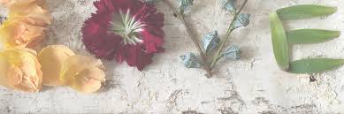 Check spelling or type a new query. Floral Artistry Vermont Based Flowers Weddings And Floral Design