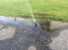 Together they have raised over 0 between their estimated 10 employees. One Broken Sprinkler Head Can Waste Up To 20 000 Gallons Of Water Over The Course Of One Season Conserva Irrigat Irrigation Sprinkler Repair Irrigation System