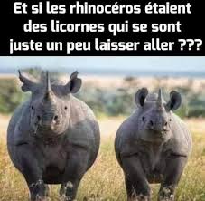 Le petit journal d'Alex Vizorek