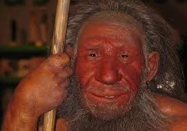 Or a rival to our own species? Neanderthals Didn T Give Us Red Hair But They Certainly Changed The Way We Sleep Unsw Newsroom