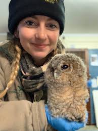 2020 at the National Bird of Prey Hospital™