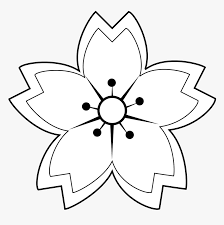 Add two short lines to each petal, to suggest the folds in the petals. Flower Petals Star Symetry Cherry Blossom Japanese Drawing Hd Png Download Kindpng