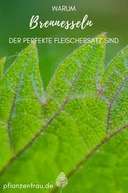 Vergiss Spinat Diese Pflanzen Enthalten Wirklich Viel Eisen Pflanzenfrau Brennessel Rezepte Fleischersatz Pflanzen