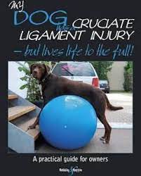 What You Need To Know After Your Dog Has Acl Surgery Acl Surgery Cruciate Ligament Injury Cruciate Ligament