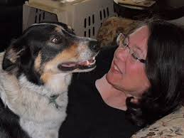 Dragons of Wind and Waves (Dragons of Earth, Water, Fire, and Air) (English  Edition)