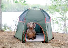 Colorado's grand mesa is the largest flattop mountain in the world! 14 Dog Friendly Glamping Resorts For 2021 Vacations